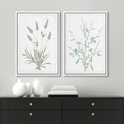 Vibrant Wildflower Floral Botanical Nature Illustration Framed On Canvas 2 Pieces Print