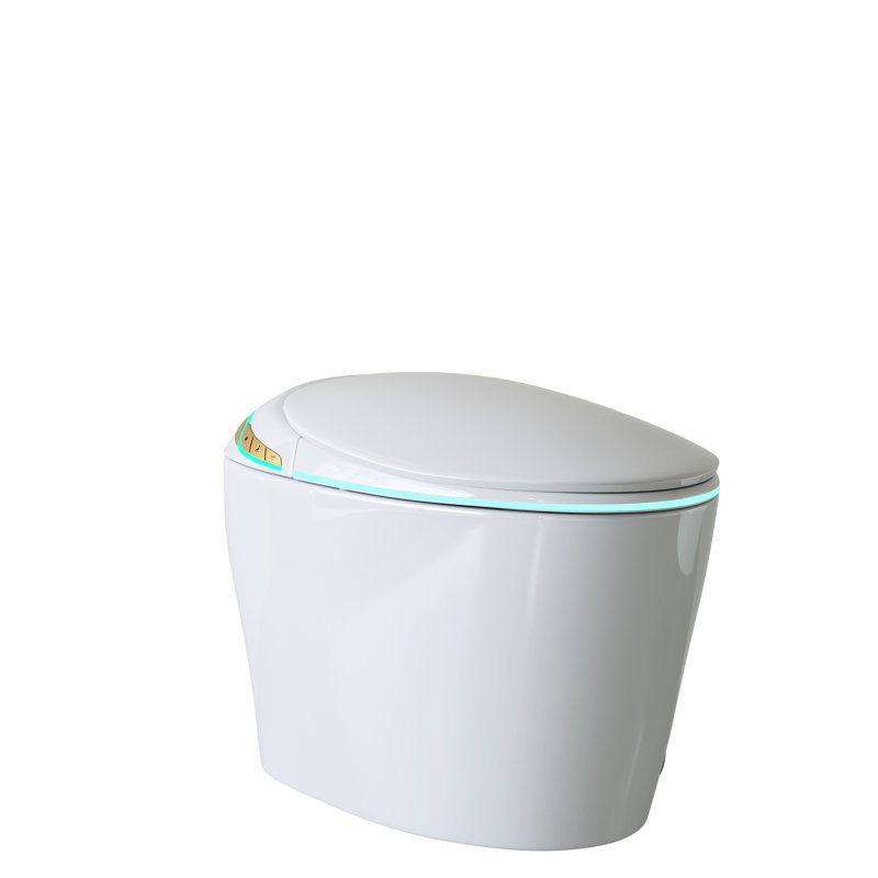 Toilette intelligente avec bidet et sécheuse, couvercle de siège automatique, système de jet siphonique, alimentation en eau chaude, modes de lavage multiples, technologie automatique à télécommande sans fil, eau instantanée, options, contrôle