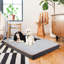 Orthopedic Dog Bed-61196604