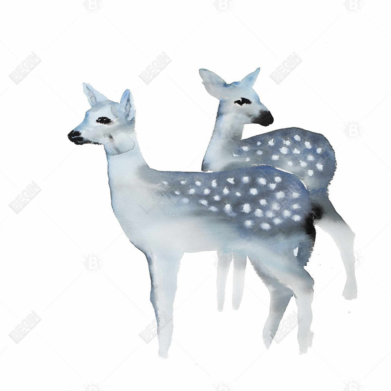 " Blue Fawns "