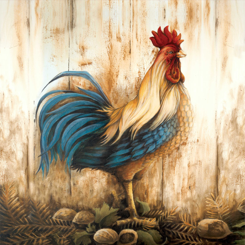 Coq Accorn, H 20 po x l 20 po
