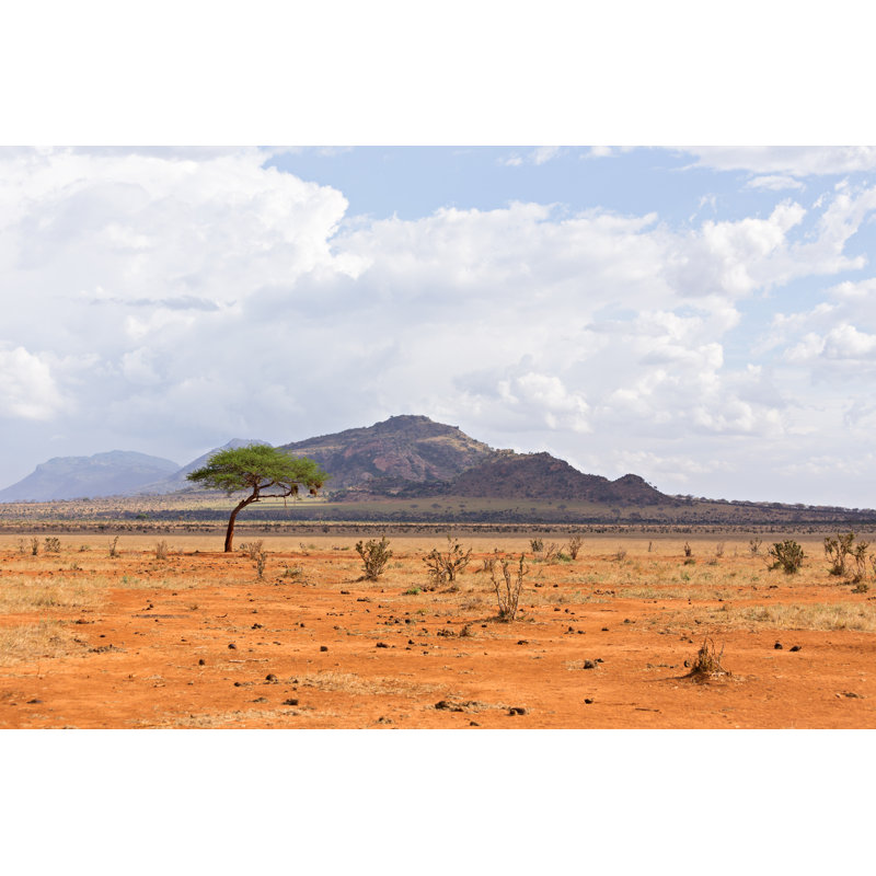 African Savanna by Chatterer - Wrapped Canvas Print, 61cm H x 91cm W