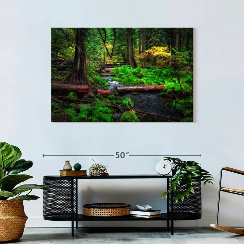 Ruisseau Alvord Willamette National Forest, H 30 po x l 45 po