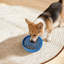 Bols pour chien à alimentation lente, bol pour chien à alimentation lente, bol à alimentation lente pour chiots-129912844