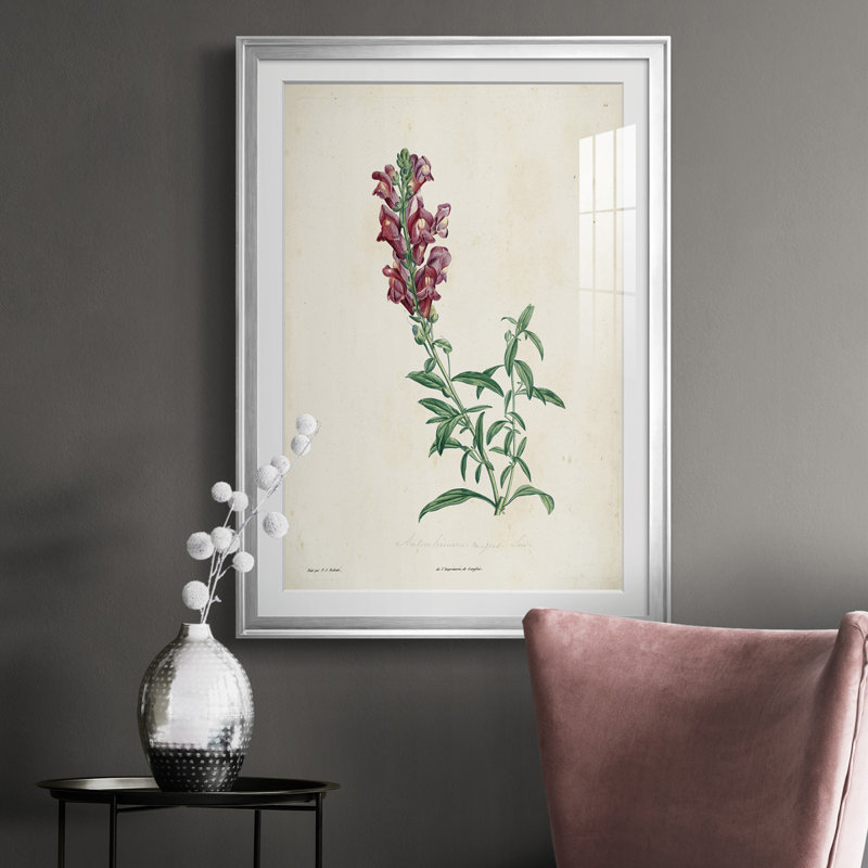 Traditional Botanical I - reproduction de cadre photo, Chrome, H 36,5 po x l 26,5 po x P 1 po