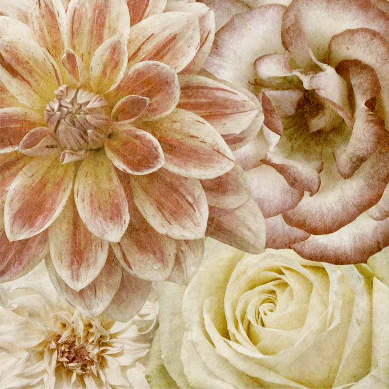 Beautiful Quartet II by Alonzo Saunders - Wrapped Canvas Painting, 30cm H x 30cm W