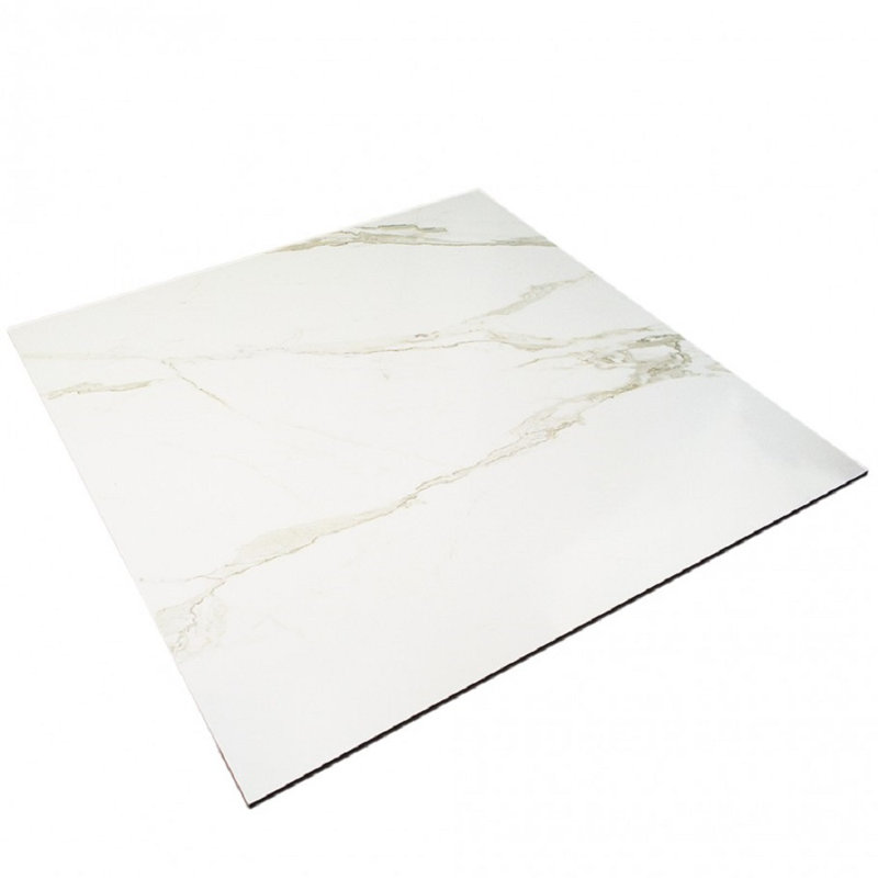 24" x 24" Porcelain Field Tile