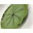 Crol Landscape & Nature Figurines & Sculptures