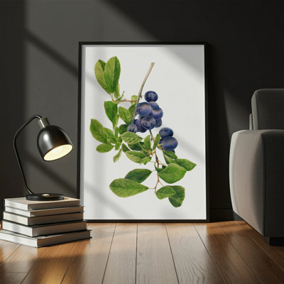 Kitchen Food Art Matte Poster