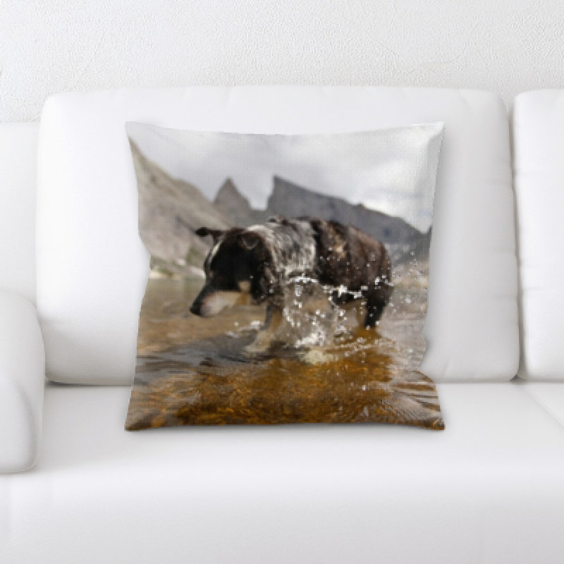 Coussin pour chien