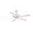 Edgewood 44 inch Indoor/Outdoor Standard Ceiling Fan with Pull Chain-57864121