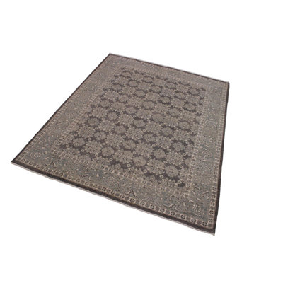 Baccio Wool Oriental Indoor Rug