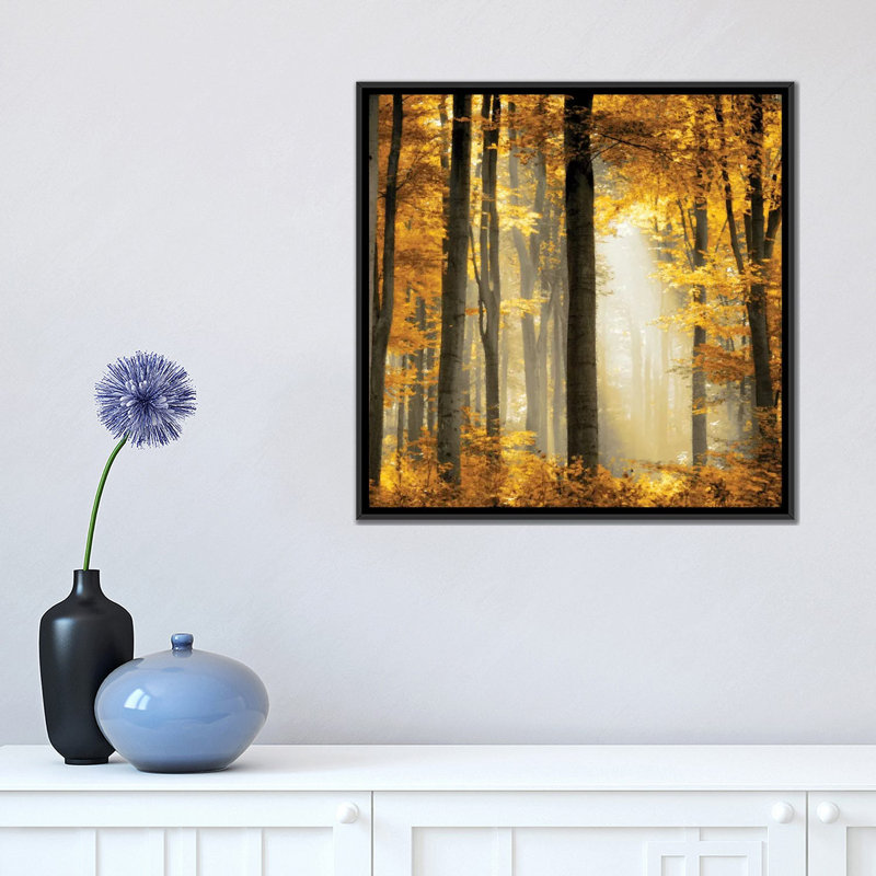 «Sunlit Forest II», impression sur toile, H 18 po x l 18 po x P 1,5 po, Toile avec cadre noir, Pas de tapis