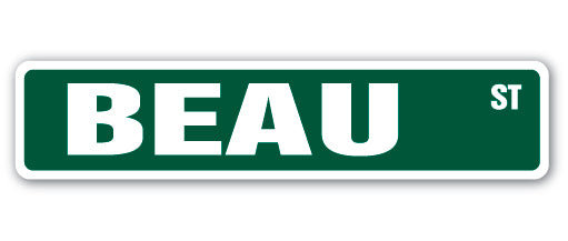 Plaque de rue Beau en plastique robuste 4 po x 18 po
