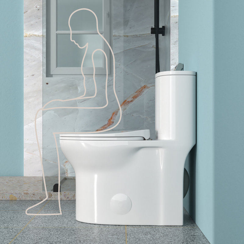 Toilette monobloc en céramique pour salle de bain, 12 po à chasse brute, 1,1 / 1,6 GPF, double chasse avec siège à fermeture en douceur, double chasse puissante CARTE 800G
