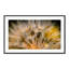 Float Away Print by Geoffrey Baris-48617804-48617807