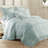 Modern Threads Antonella 8-Piece Pleated Comforter Set-691159708-691159711