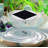 Solar Water Agitator For Bird Baths 