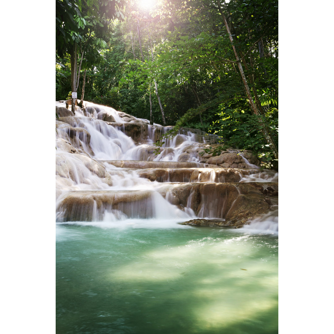 Dunns River Falls von Narvikk - Kunstdrucke