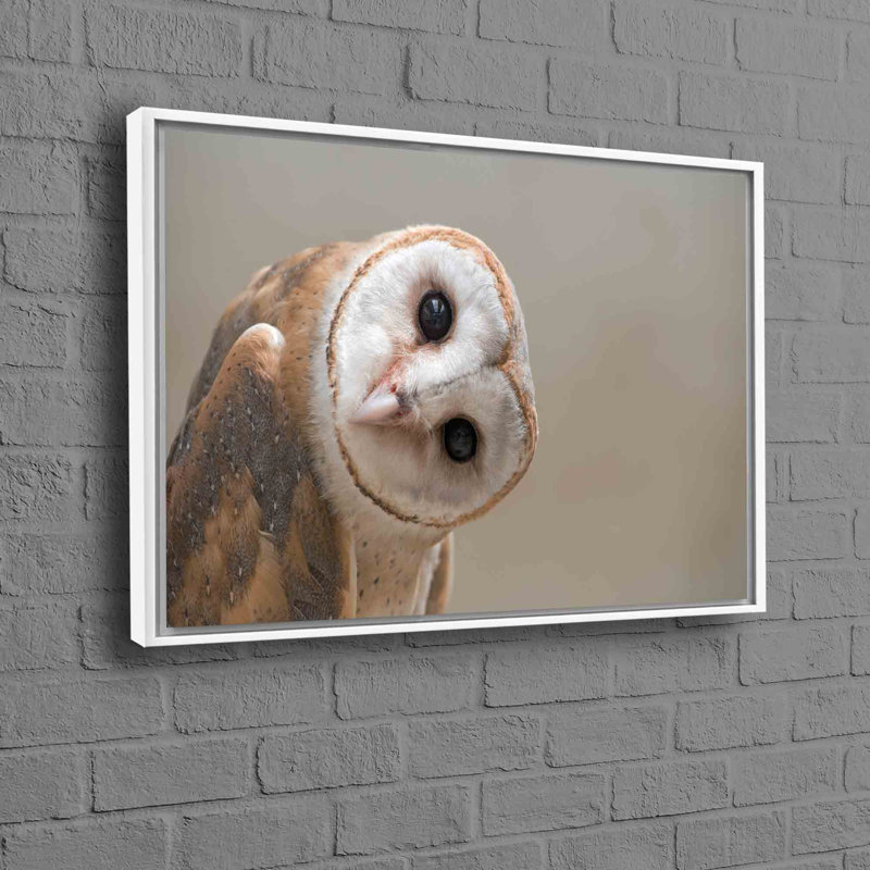 Print on Canvas, White, Framed Print without Mat, 20cm H x 30cm W