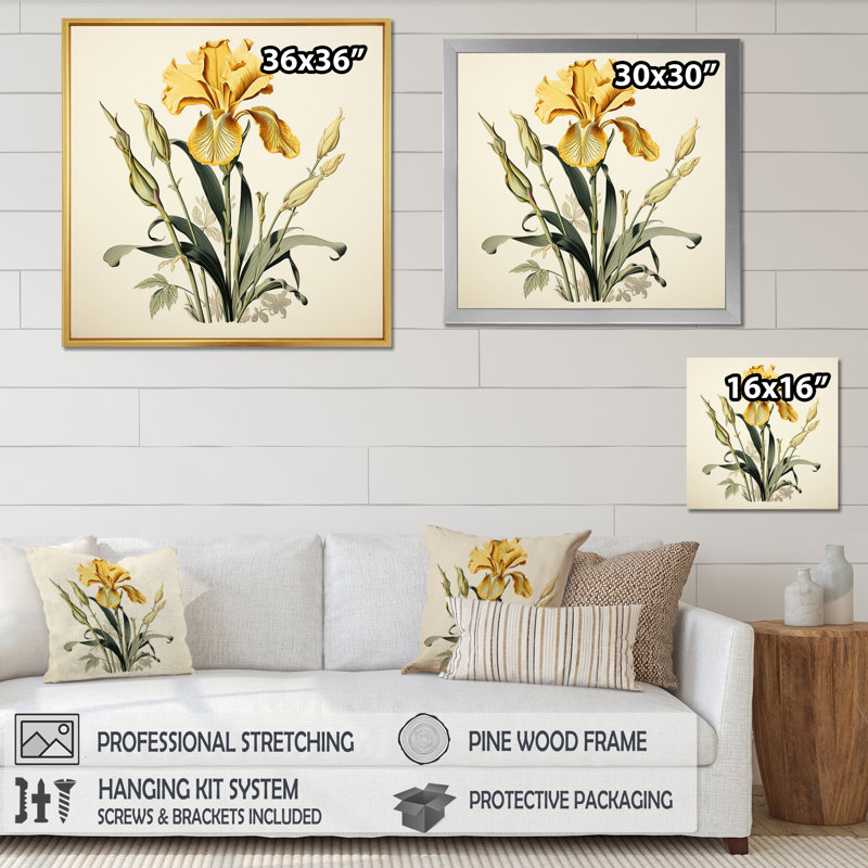 Iris jaune, illustration rétro I sur toile, Toile tendue, H 24 po x l 24 po x P 1 po
