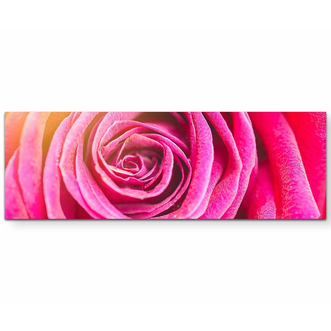 Leinwandbild Rose – Nahaufnahme