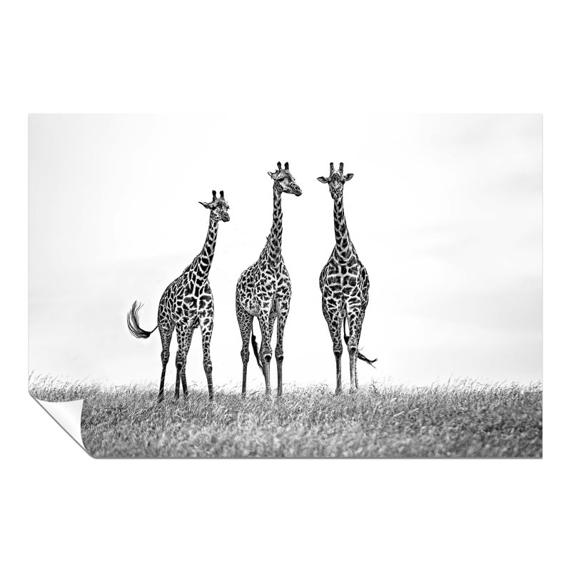 Giraffes Wildlife - No Frame Print, 31cm H x 46cm W x 0.5cm D