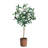 31'' Faux Olive Tree Tree in Planter