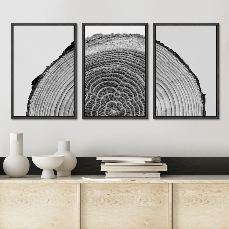 Black Framed Nature Tree Rings Canvas Print Set