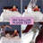 King 1'' Cotton Mattress Topper