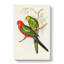 King Lory Parrot by Elizabeth Gould - Wrapped Canvas-55362182