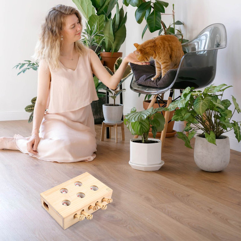 Fournitures pour jouets multifonctionnels, C