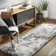 Myndi Machine Woven Abstract Cream/Gray Area Rug