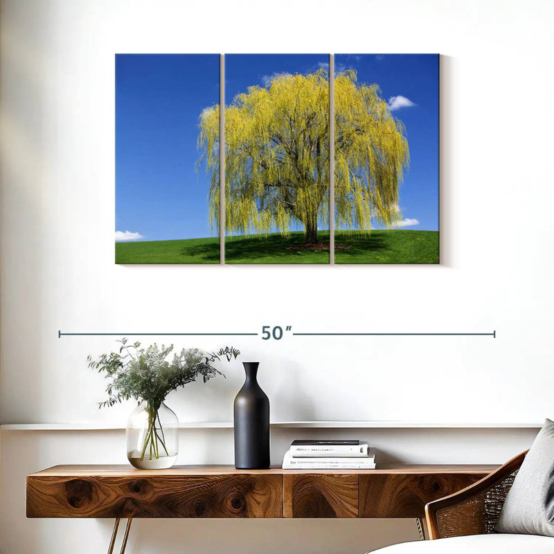 Harnek Spring Weeping Willow, 24" H x 38" W