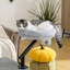 Pet Sofa-214378686