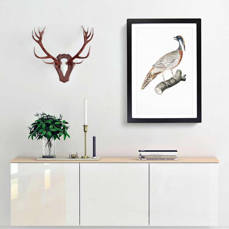 Pucras Pheasant Illustration by John Edward Gray - Picture Frame Painting Print, 48cm H x 36cm W x 2cm D, Black Framed