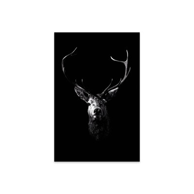 " Dark Deer " by Wouter Rikken