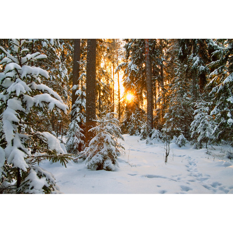 «Winter Landscape» par Yanikap - reproduction d'art sur toile tendue, L 12 po x H 8 po