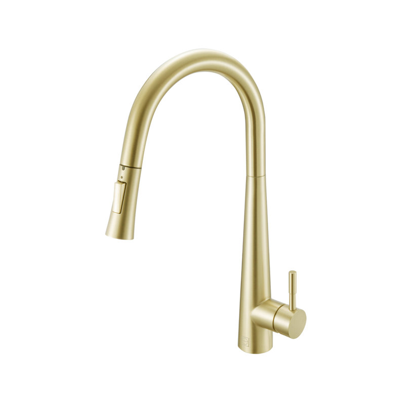 Elegant Home Living Lucas Pull Down Spray Kitchen Faucet, Brushed Gold