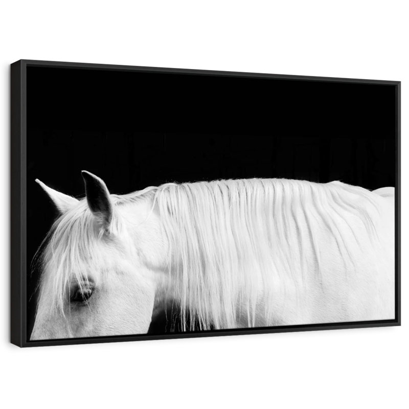 «White on Black I», reproduction sur toile, H 31 po x l 21 po