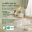 Lit plateforme tapissier Modern Bouclé, cadre de lit sans cadre, aucun assemblage requis, blanc cassé