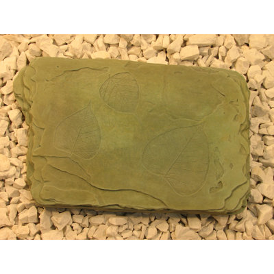 Fossil Stepping Stone