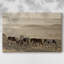 Wild Horse Sanctuary - Cavas enveloppés dans une galerie-702910380