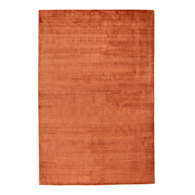 Viscose Indoor Rug