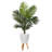 61'' Faux Palm Tree in Earthenware Planter