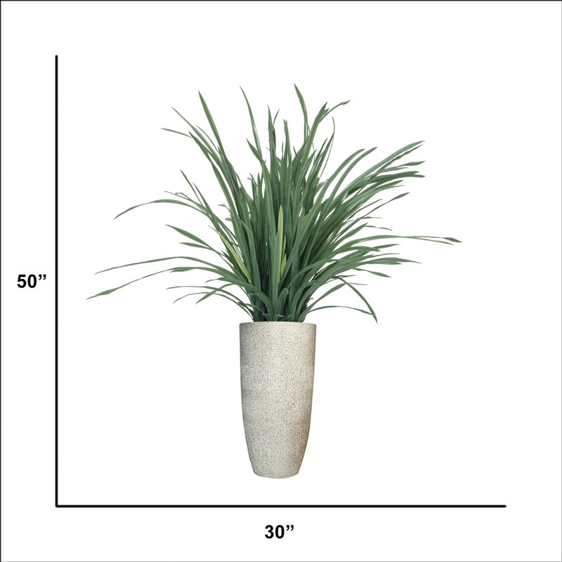 50 po citronnelle artificielle en pot