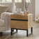 Aadam Modern End Table With 2 Drawers