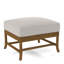 Lafayette Ottoman-49840974-61955327