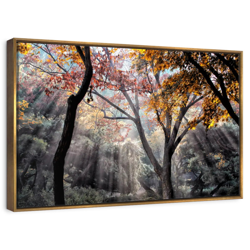 Rayons de soleil de la forêt, Cadre flottant doré, 13 po x 9 po