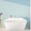 Richmond 57'' L Freestanding Soaking Bathtub-50879068-88719109
